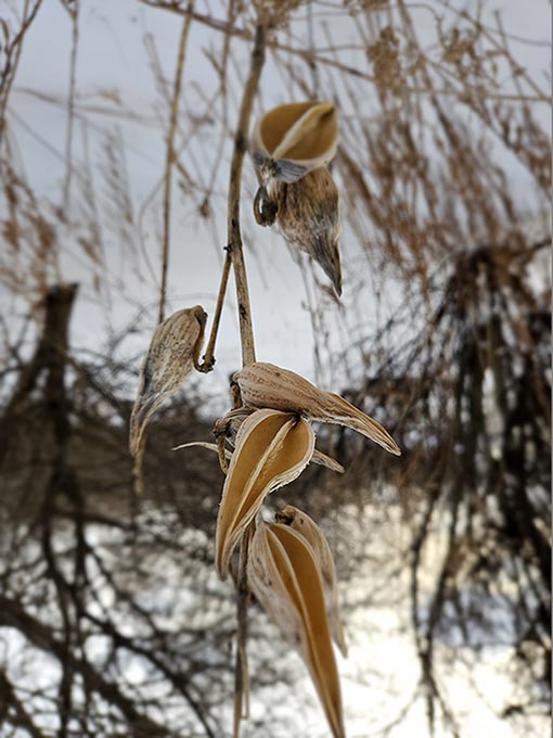 ���������� ������� �������