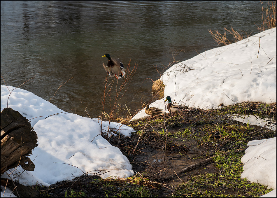 ���������� ���� ����������