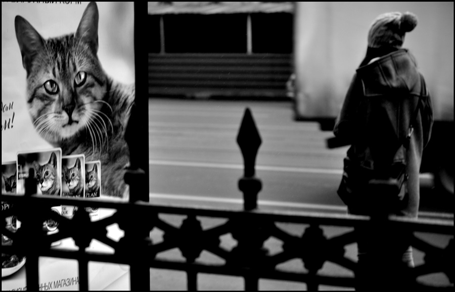 ���������� 8142