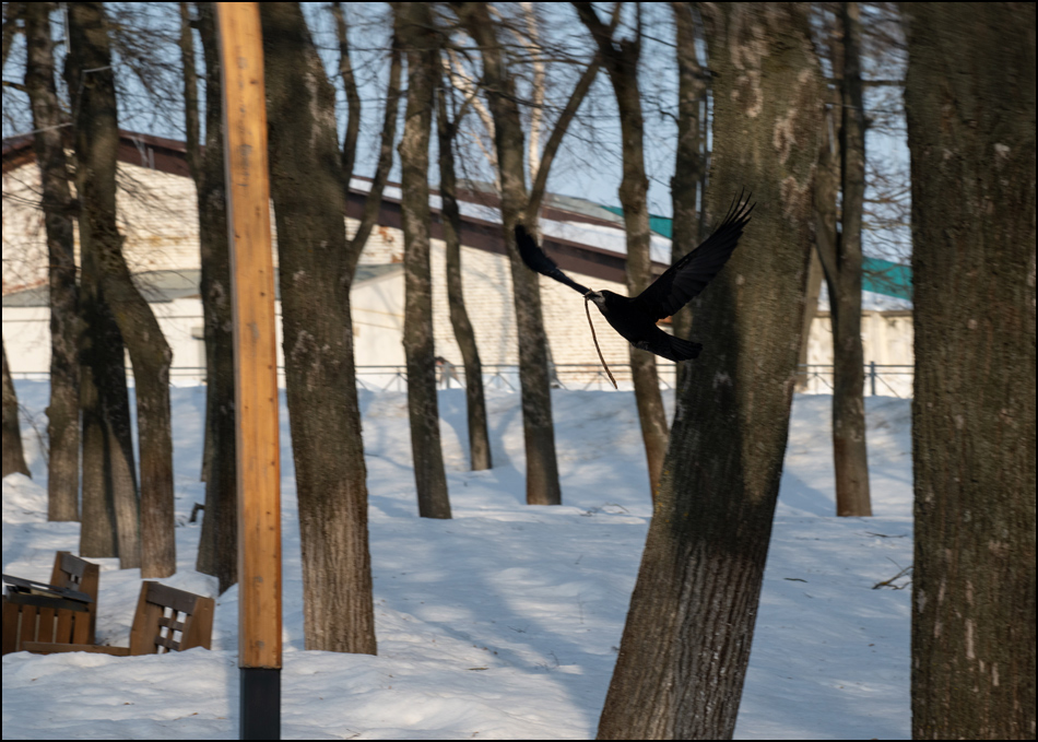 ���������� ���������