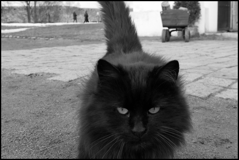 ���������� ������� ���������.