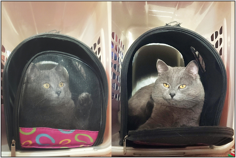 ���������� � �������, � ���������...