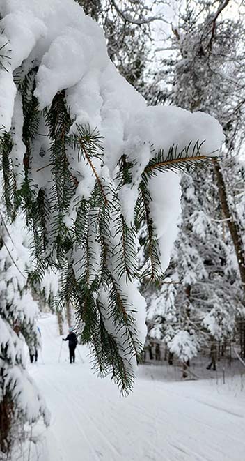 ���������� ����� ۣ� ������ ����