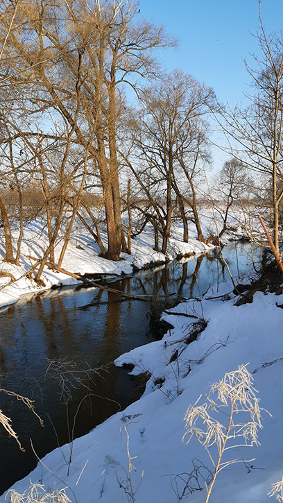 ���������� ����� �����