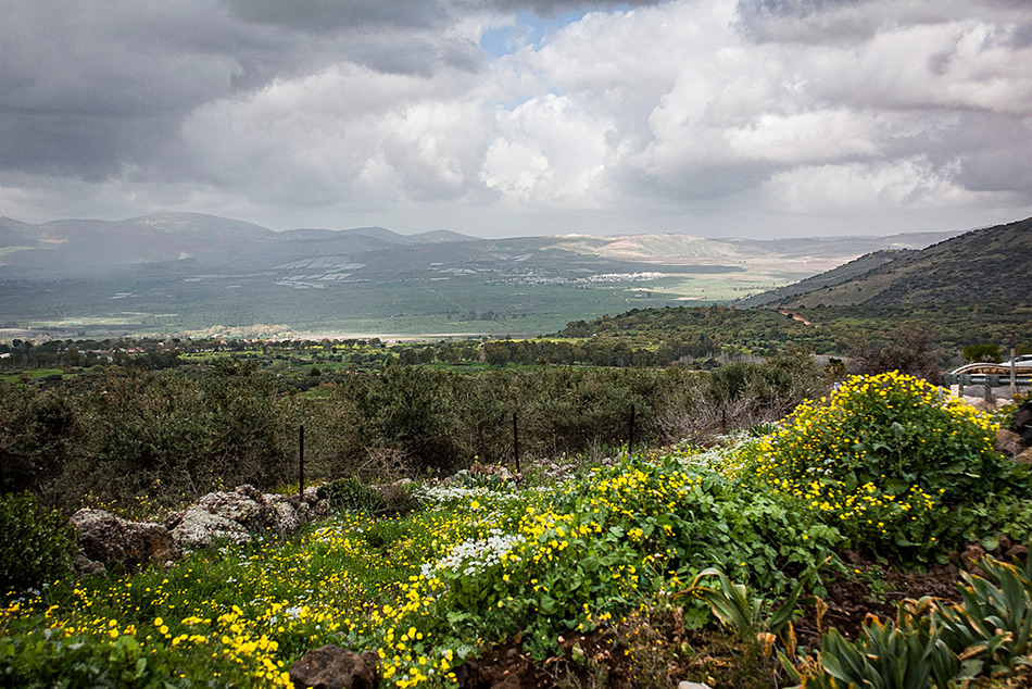 ���������� �������� �������