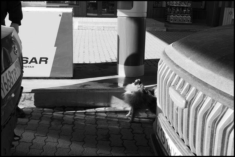 ���������� ������� ����.