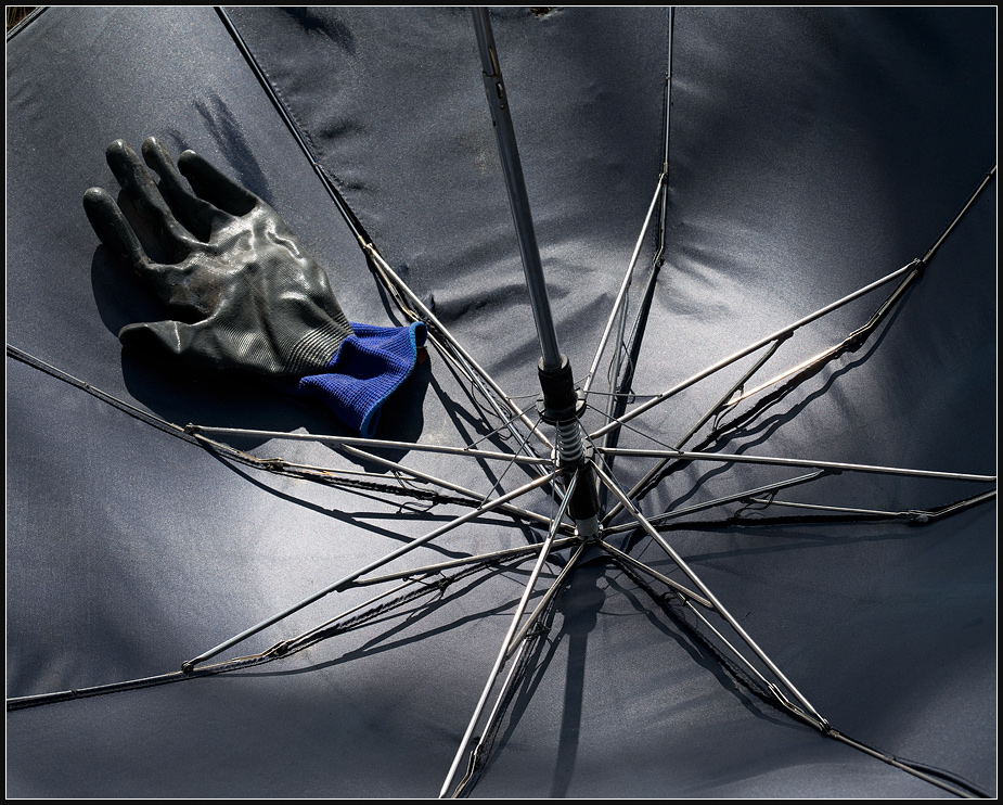 ���������� ���� ������������