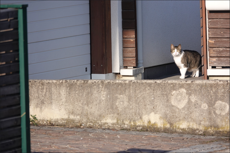 ���������� �� ������