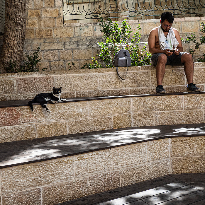 ���������� �������� �� ����������