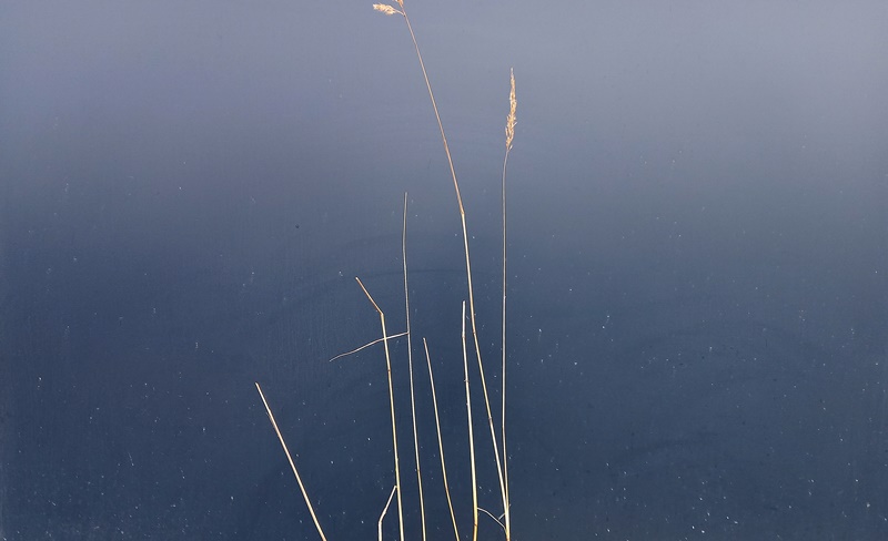 ���������� ***