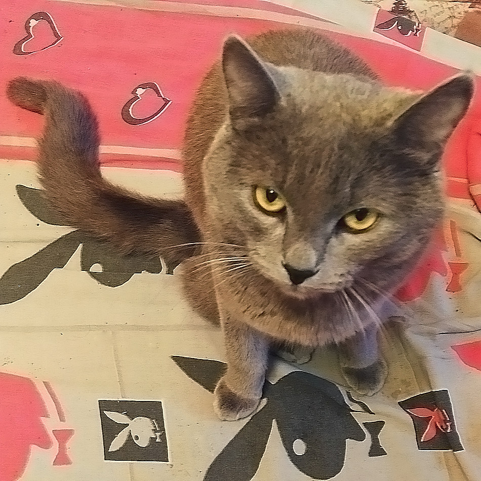 ���������� ������ ����, ����, � �����...