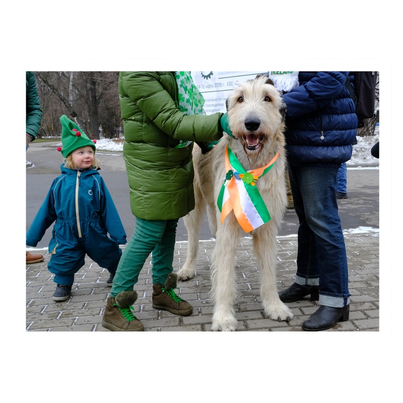 ���������� ����� 