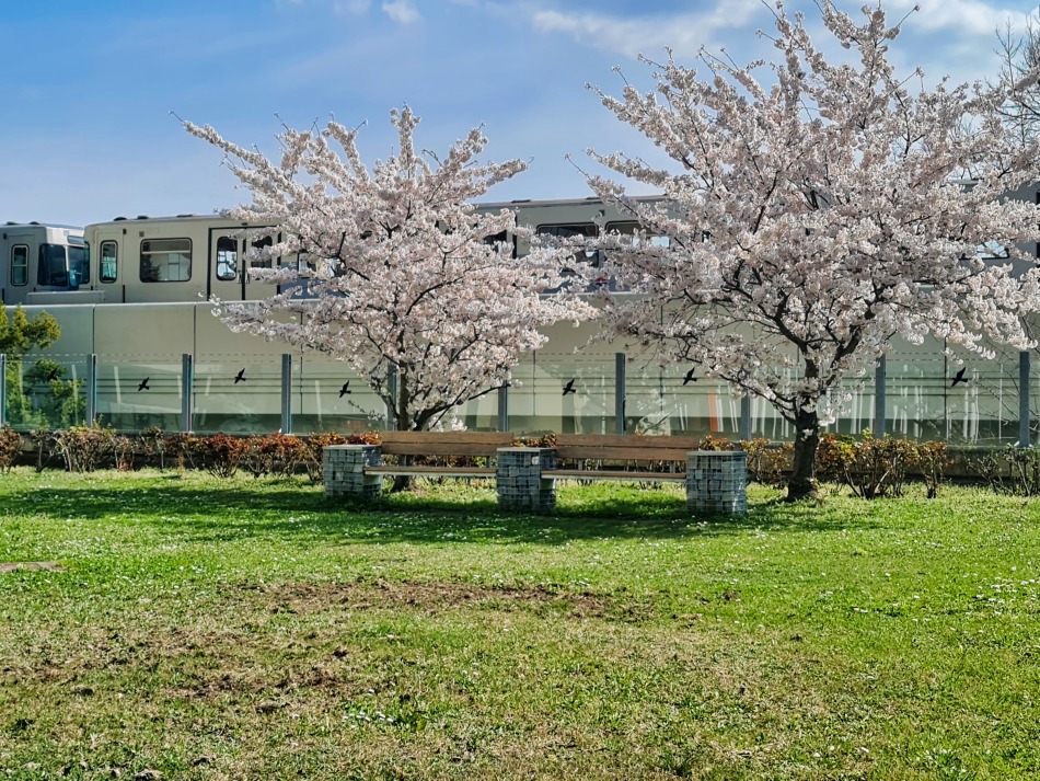 ���������� ������� � �����