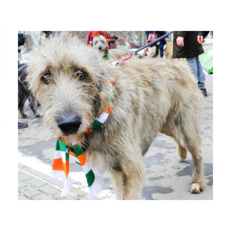 ���������� ������� ������