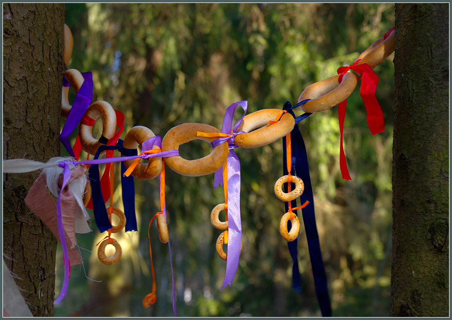 ���������� ���� ����