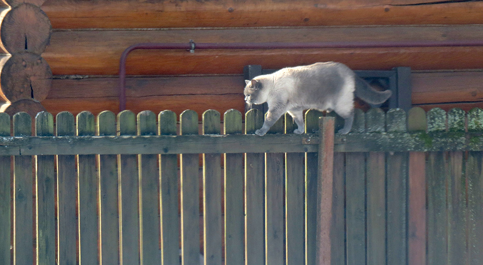 ���������� �� ����� �������� �����..