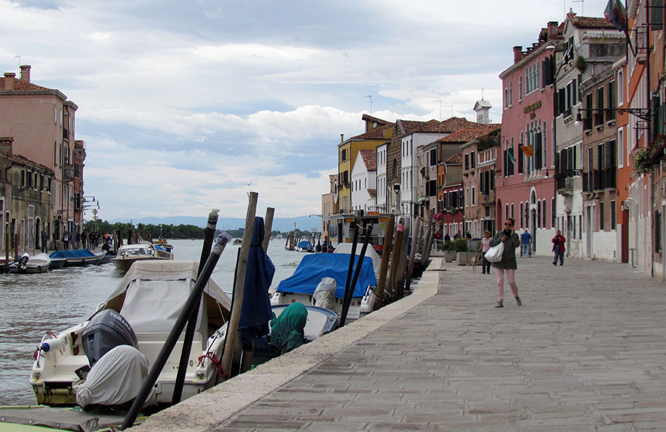 ���������� ****