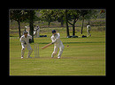 igra v cricket