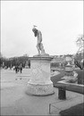   Tuileries. Paris