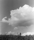 Horse under Cloud