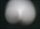 vesenniaja fotozagadka