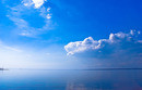 blue and white...