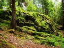 Finland