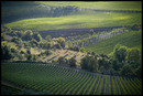 Brolio, Chianti, Tuscany