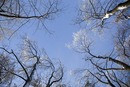 Vertical.1