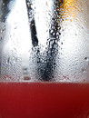 Cosmopolitan