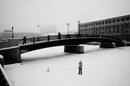 Bridge, bird, dog and fog.