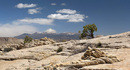 Capitol Reef NP 1