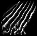 Reflectio