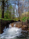 Serebrianka Waterfall