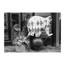 � ����� � ..��� 