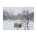 �� ����� �����