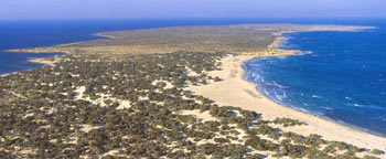 Chrissi Island