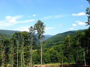 Карпаты