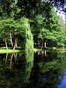Карпаты