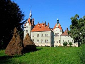 Замок в Карпатах