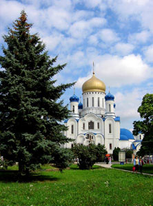 Карпаты. Ужгород.